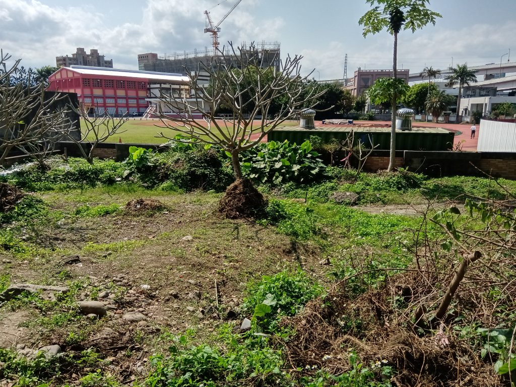 公館校區農田1
