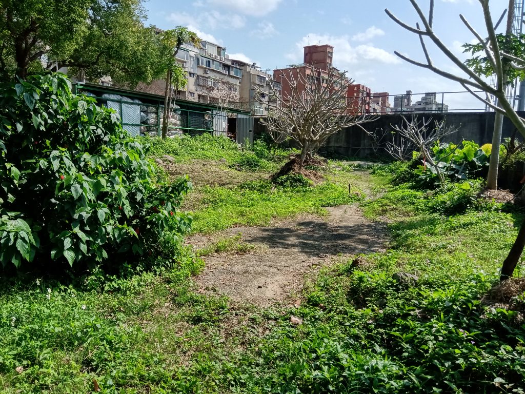 公館校區農田2